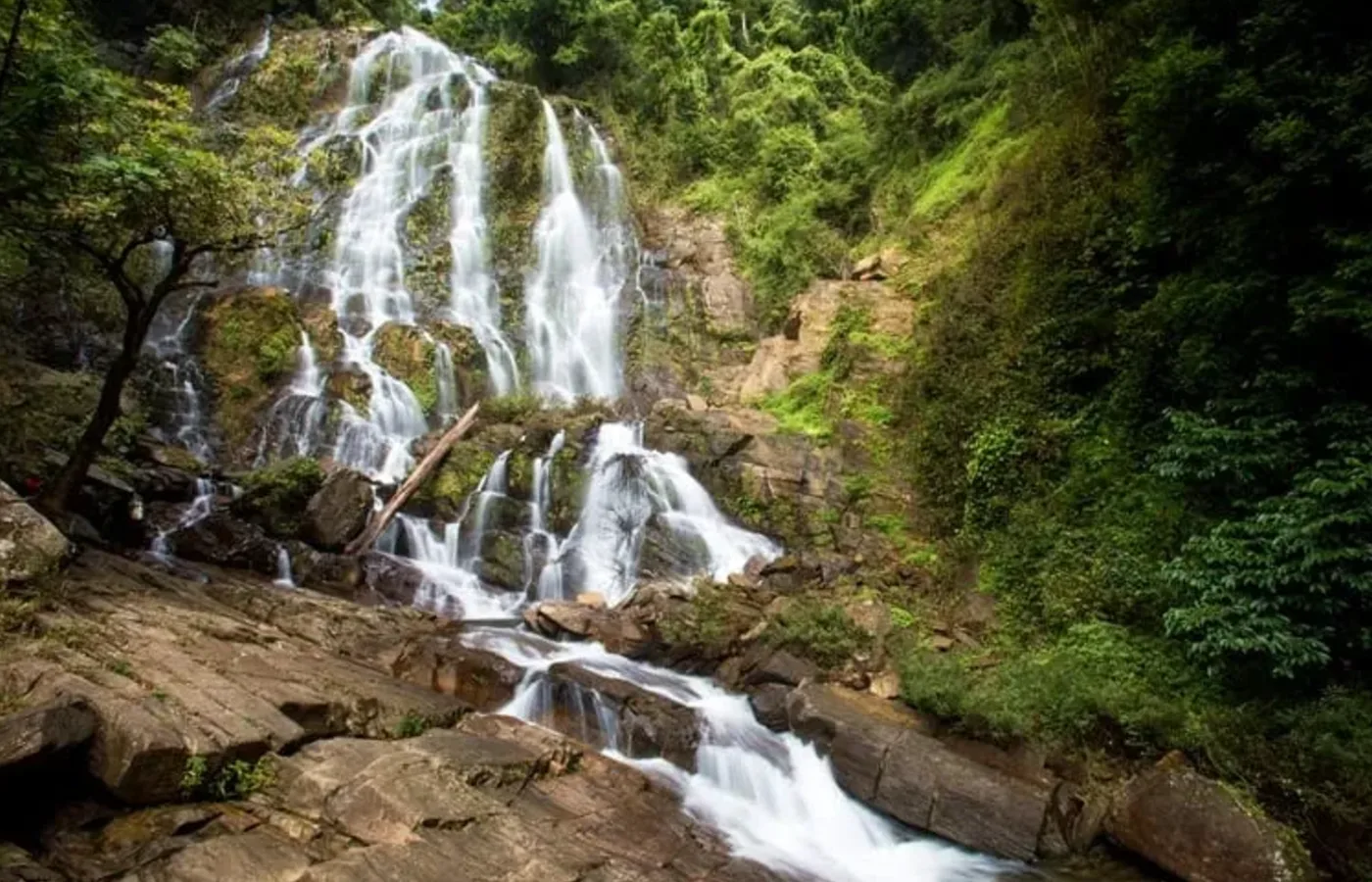 ภาพสถานที่จริง เขตรักษาพันธุ์สัตว์ป่าคลองนาคา TH-0286