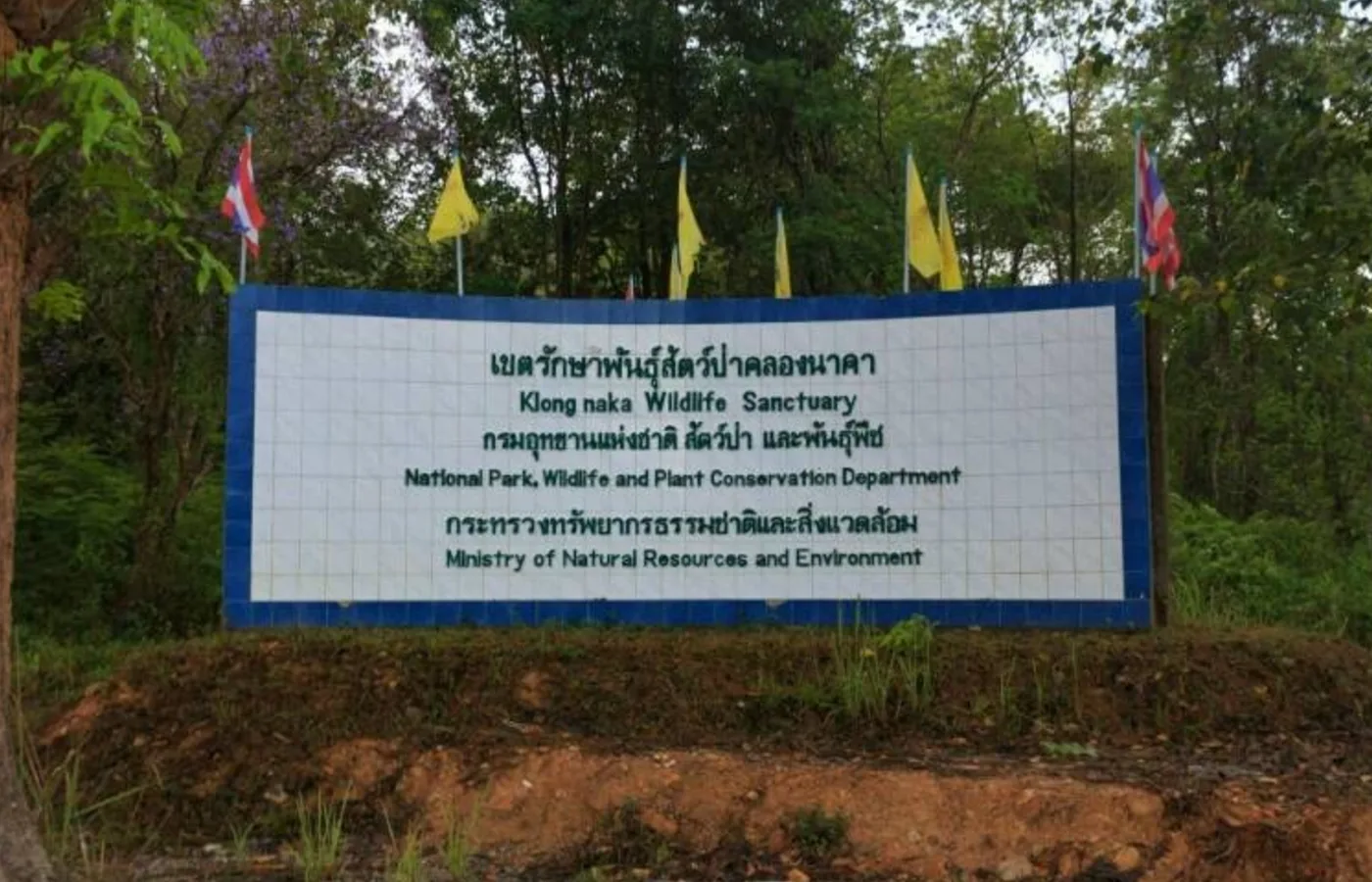 ภาพสถานที่จริง เขตรักษาพันธุ์สัตว์ป่าคลองนาคา (POTA อีกหนึ่งรหัส) TH-0295
