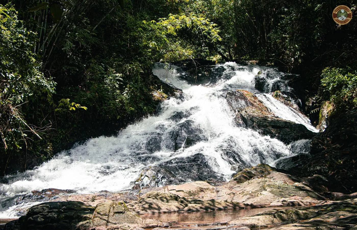 ภาพสถานที่จริง เขตรักษาพันธุ์สัตว์ป่าทุ่งระยะ–นาสัก TH-0697